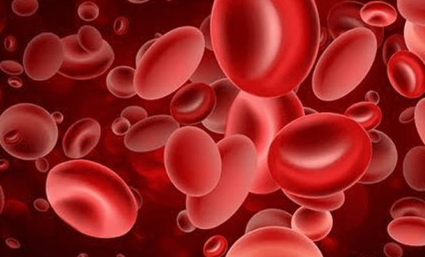 Portal Oncologia Brasil – Oncologista fala sobre estudo que analisa terapia inicial do mieloma múltiplo