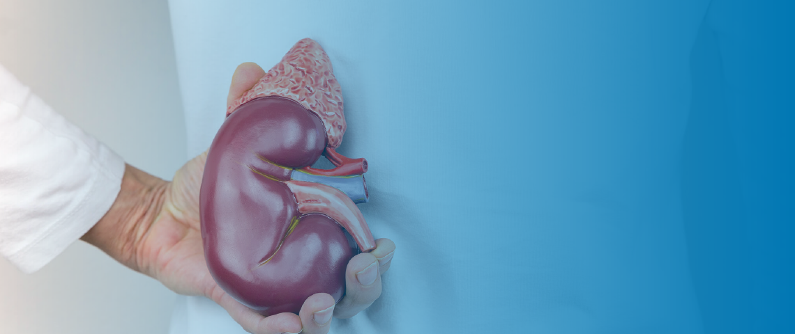 Resultados iniciais do estudo fase III CheckMate 9ER traz boas perspectivas em primeira linha de tratamento com a combinação de nivolumabe e cabozantinibe