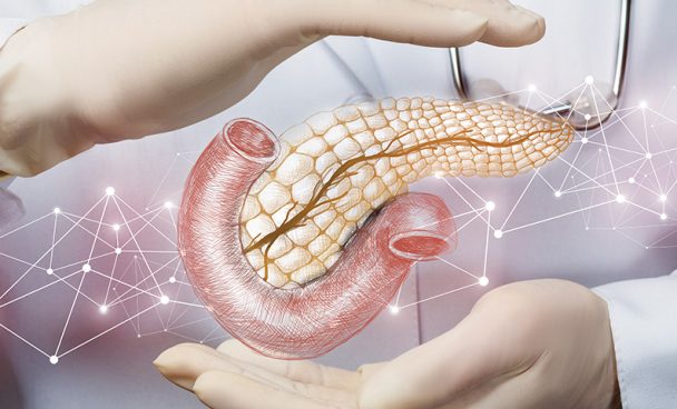 Pancreas