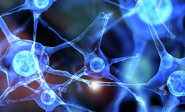 Sistema Nervioso Central