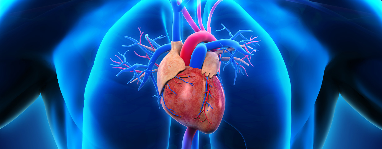 Cirugía Cardiovascular