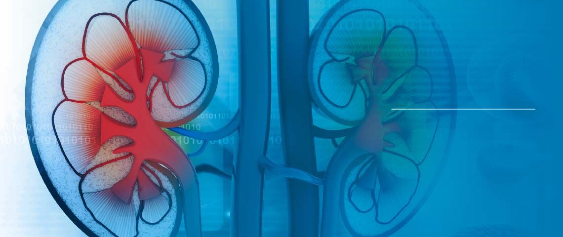 New data from the CLEAR study evaluated immunotherapy outcomes on quality of life in patients with advanced kidney cancer