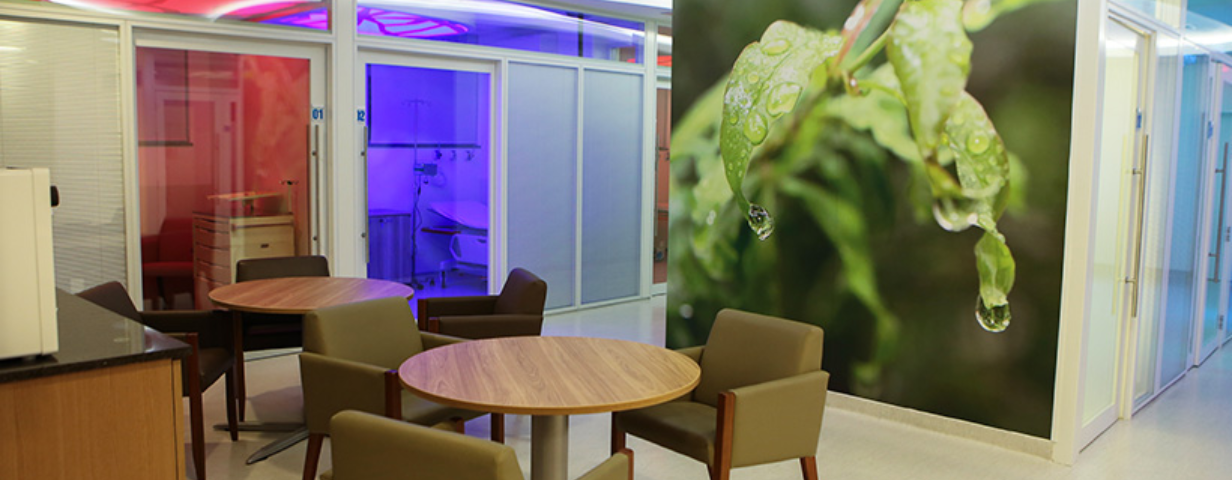 HOSPITAL EDMUNDO VASCONCELOS