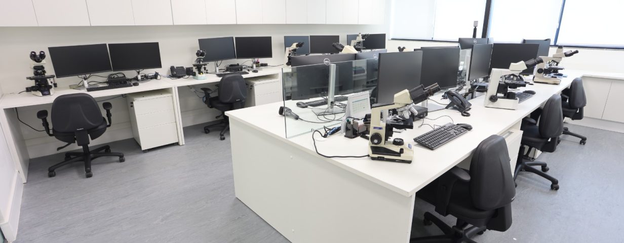 OC MEDICINA DE PRECISÃO MICROIMAGEM