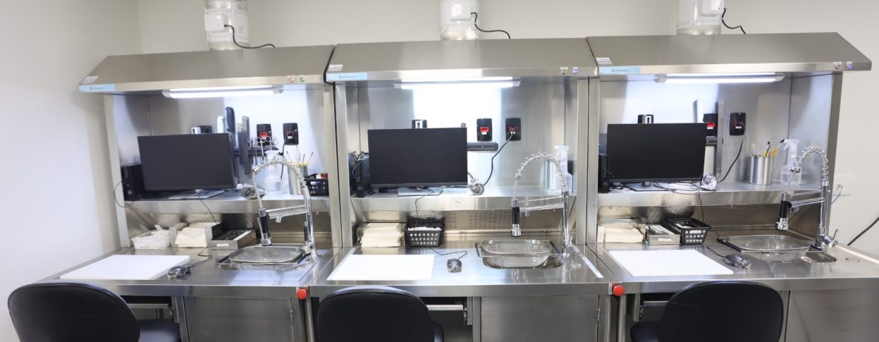 OC MEDICINA DE PRECISÃO MICROIMAGEM