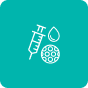 Transplante de Medula Óssea
