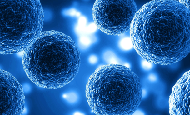 Rádio CBN: “Estado Irreversível” significa que não há mais opções de tratamentos disponíveis