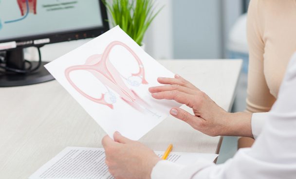 Uterine Body – Endometrium