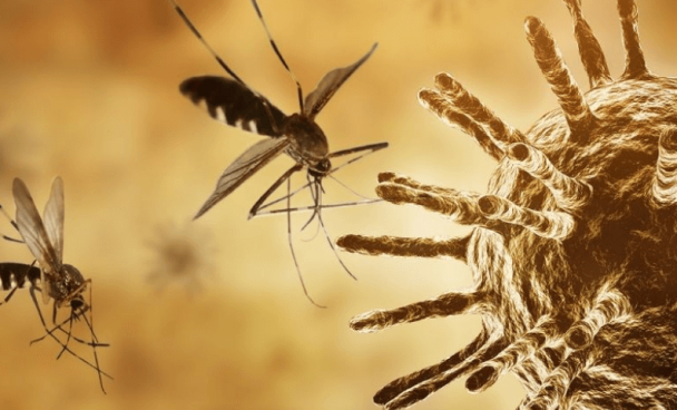 Pais&Filhos: Explosão dos casos de dengue acende alerta: veja as principais diferenças da doença para a Ômicron