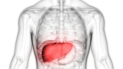 Julho amarelo: hepatites B e C podem causar câncer de fígado