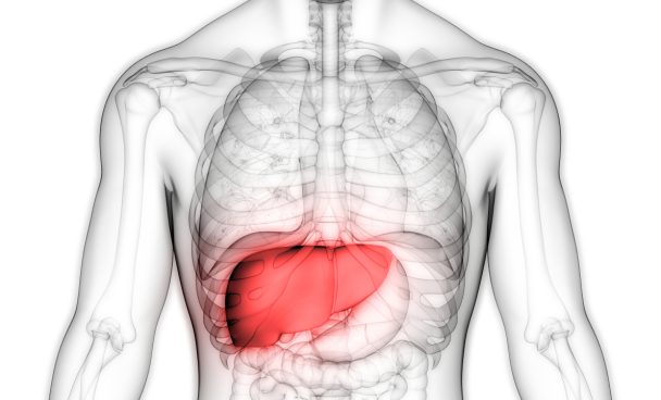 Julho amarelo: hepatites B e C podem causar câncer de fígado